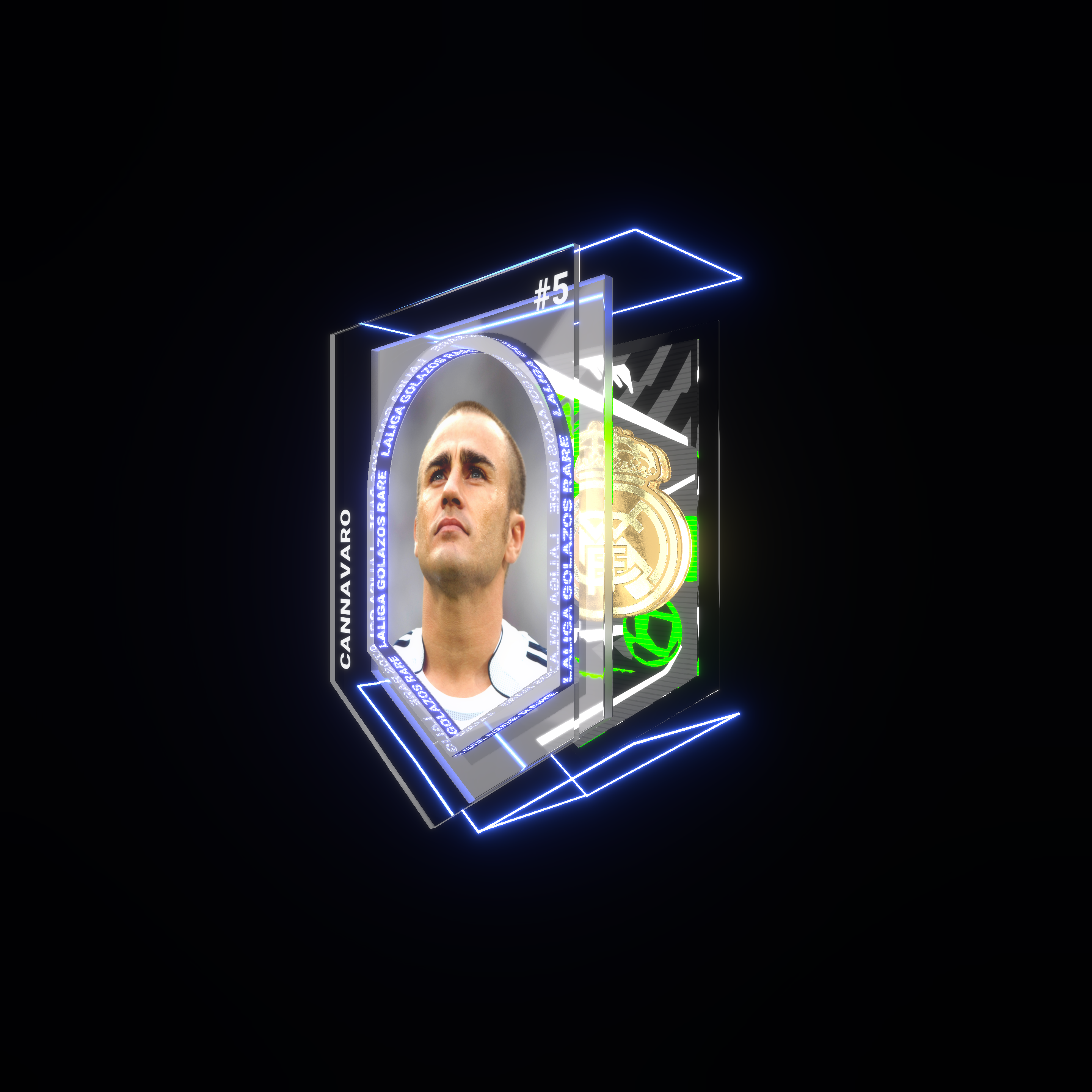 Fabio Cannavaro asset